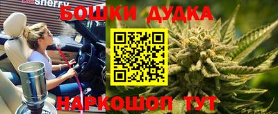 крисы Анапа