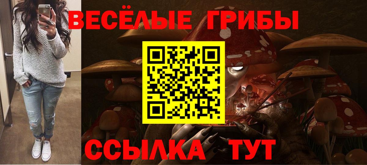Алексеевка  Галлюциногенные грибы GOLDEN TEACHER  Вход с VPN 